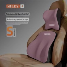 2Pcs Lumbar Support Back