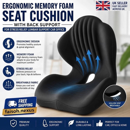 Ergonomic back and - 2-in-1, seat