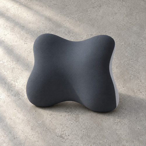 Back support cushion - cushion, for