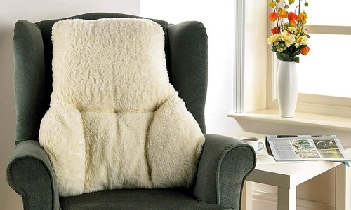 Back lumbar support cushion - lumbar,