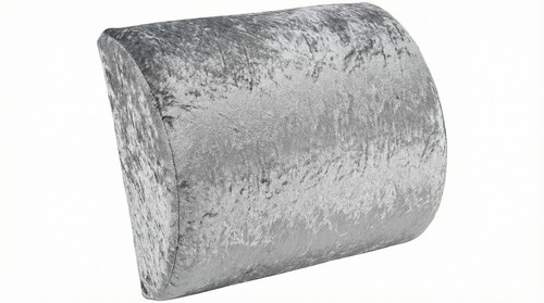 Orthopedic back support - back, lumber