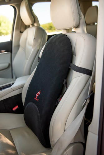 Back support cushion - back,