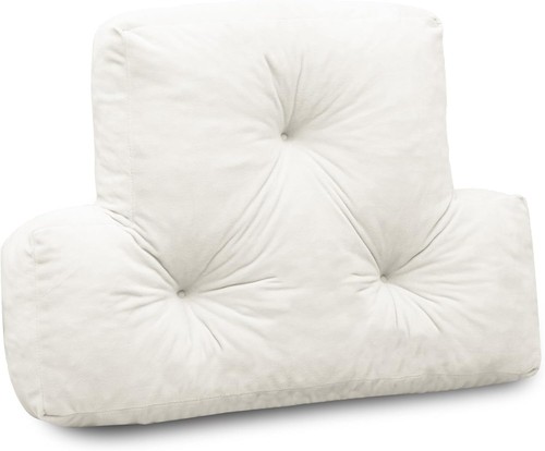 Ergonomic back support - back, pillow